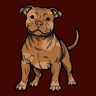 pit bull