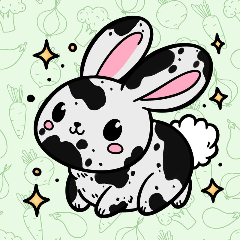 bunny