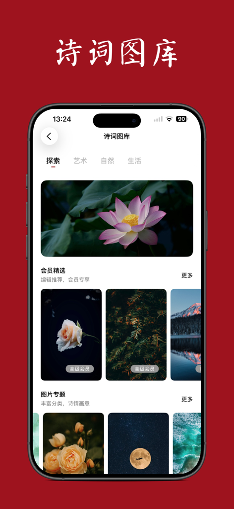 西窗烛 - 品味中国诗词之美 - A mobile screen showing the aesthetic poetry image gallery of the Xi Chuang Zhu app with nature and floral photography.
