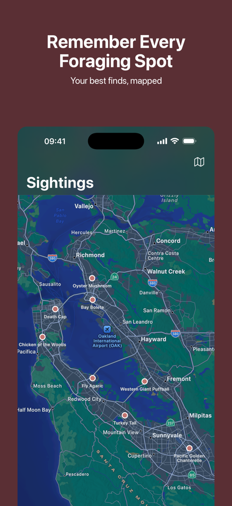 Foragr AI: Mushroom ID - An interactive map in the Foragr AI app showing various mushroom species and their discovery locations.