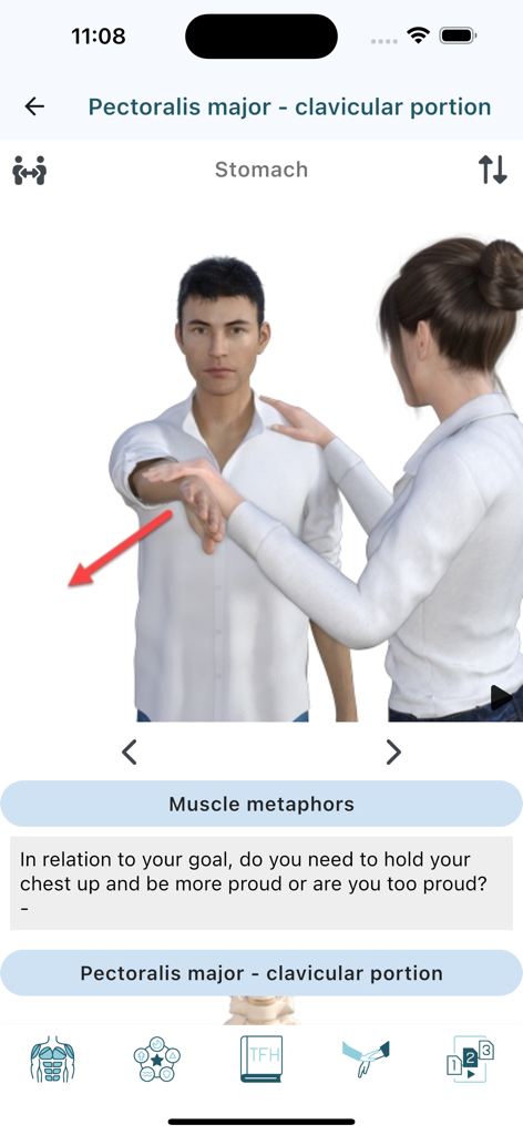 Animated 3D demonstration of a Pectoralis major muscle test for kinesiology