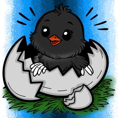 a chick hatching out of a egg