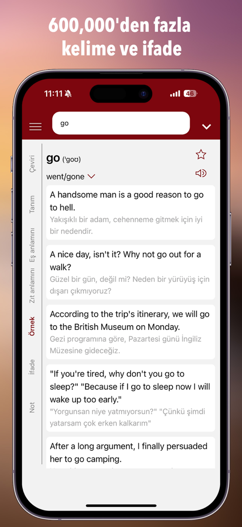 Entrada del diccionario para la palabra 'go' en la aplicación de traducción turco-inglés Ceviri Plus que muestra oraciones de ejemplo.