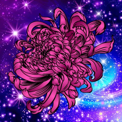 flowers_01