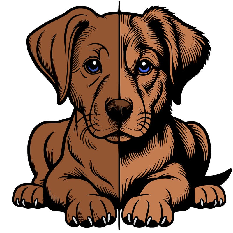 realistic dog split picture