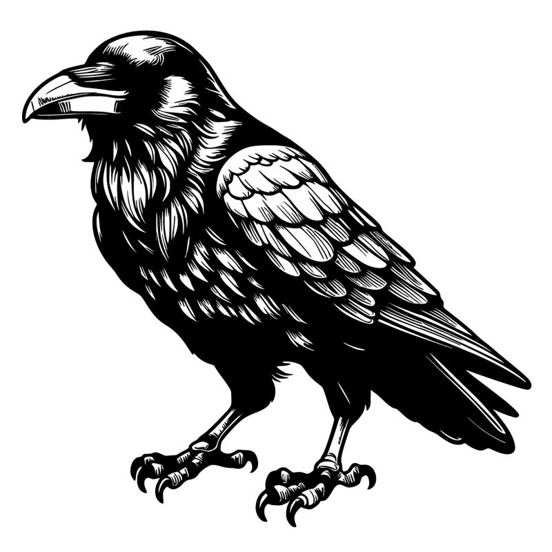 realistic raven