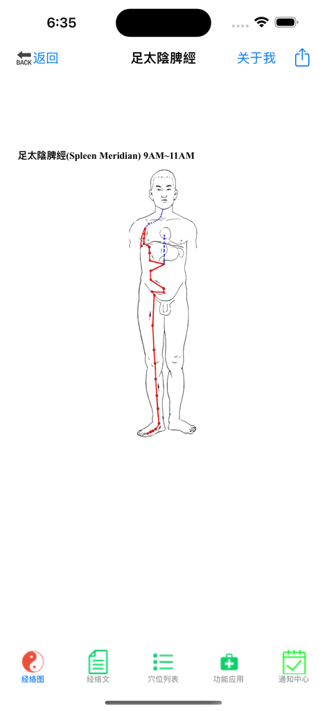 Human body diagram showing the Spleen Meridian flow path active between 9 AM and 11 AM