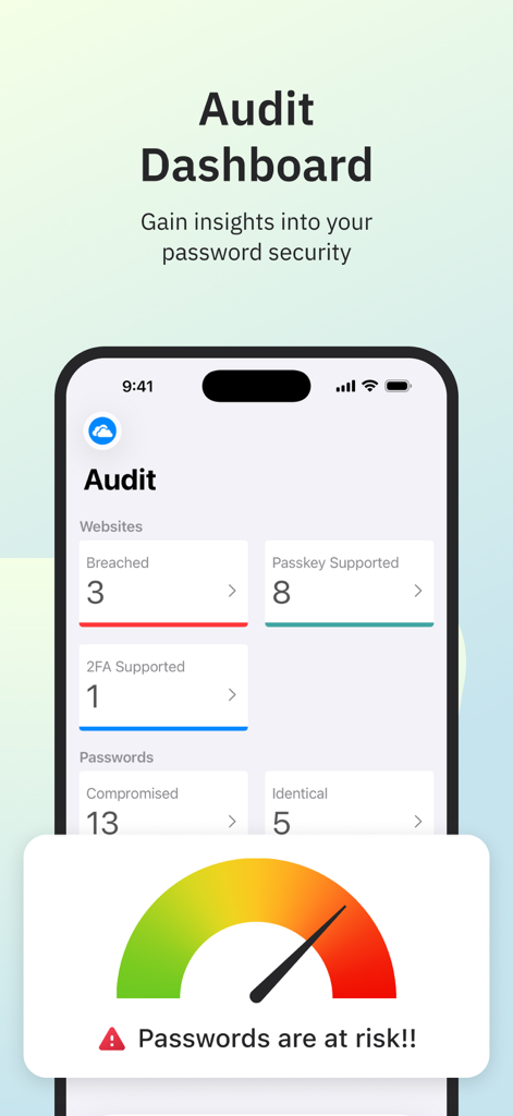 Enpass Password Manager - Enpass app interface showing the audit dashboard with password security insights and breach alerts