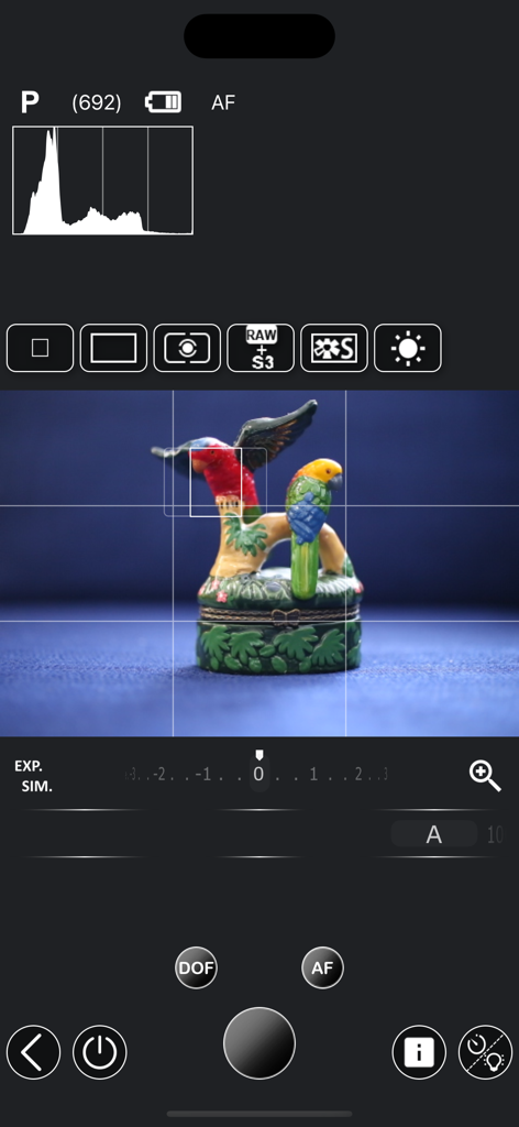 Remote camera liveview interface with professional photography controls