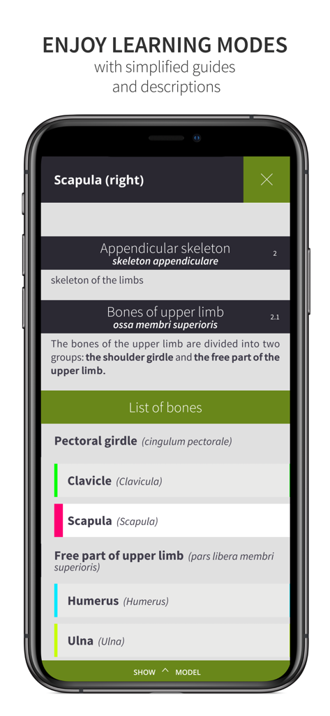 Anatomyka Skeleton - Interfaccia dell'app Anatomyka Skeleton che mostra la modalità di apprendimento con un elenco gerarchico di ossa, tra cui scapola e omero