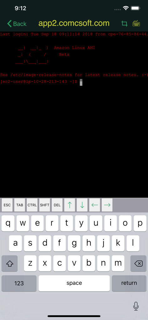 iTerminal app showing a secure SSH connection to a Linux server with a specialized mobile keyboard