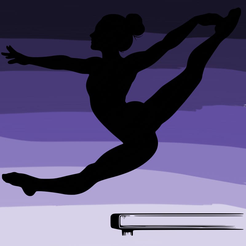 realistic professional gymnast