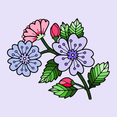 flowers_11