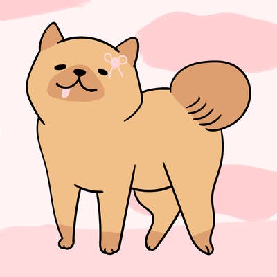 animals_29