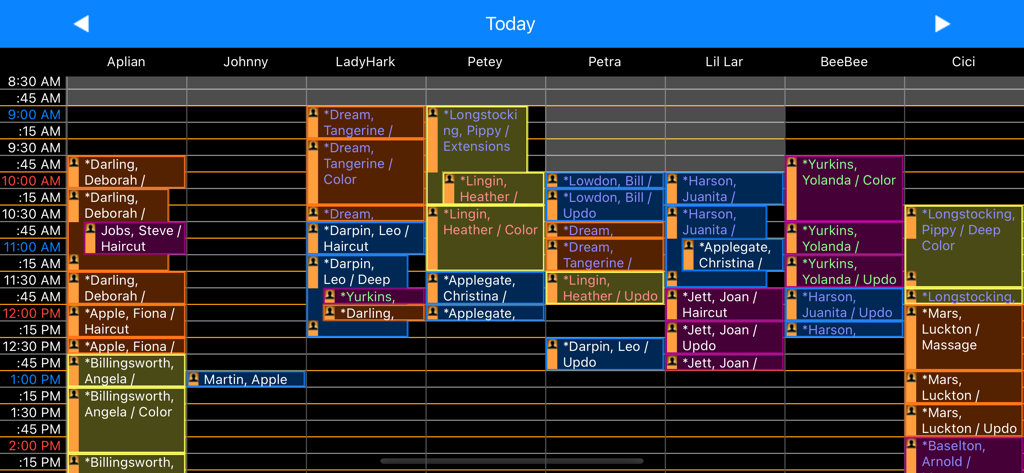 Graphical salon appointment book interface in the STX app showing schedules for multiple stylists