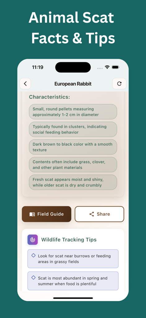Animal Scat Identifier: Scan - A mobile app screen displaying identification characteristics and wildlife tracking tips for European Rabbit scat.