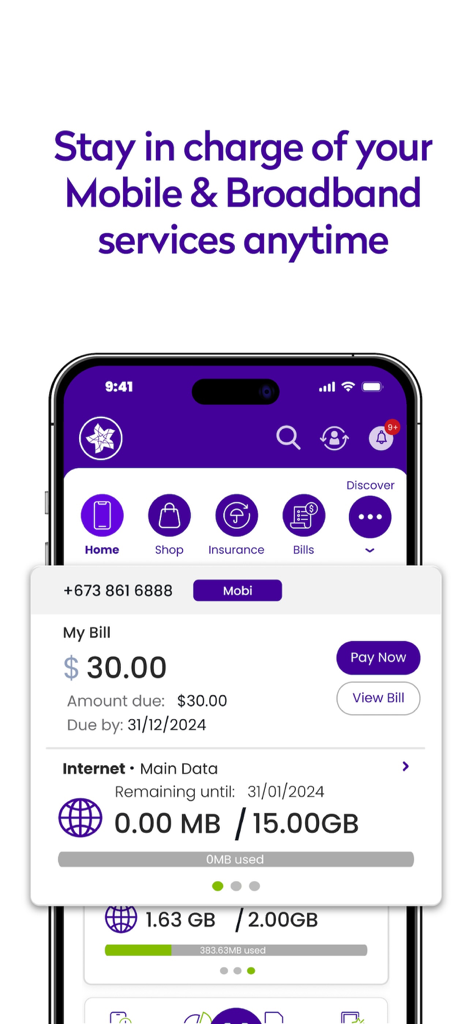MyDST app screen displaying mobile billing information and internet data balance