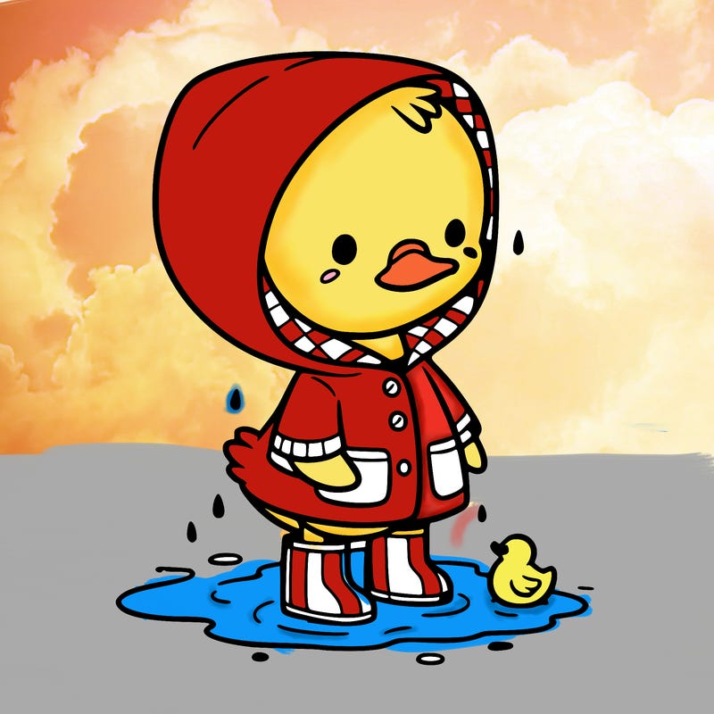 baby duck in a rain coat and boots, in a puddle while it’s raining