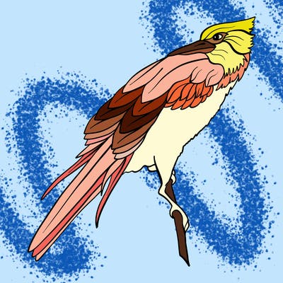 animals_63