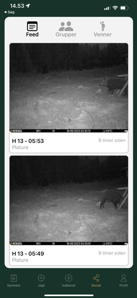 Jäger - Jagt & Jæger værktøjer - Feed social de la aplicación de caza Jäger mostrando fotos de cámaras de rastro de un jabalí en el bosque por la noche.