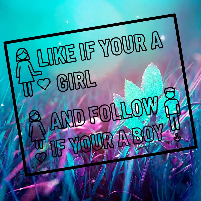like if your a girl and follow if your a boy