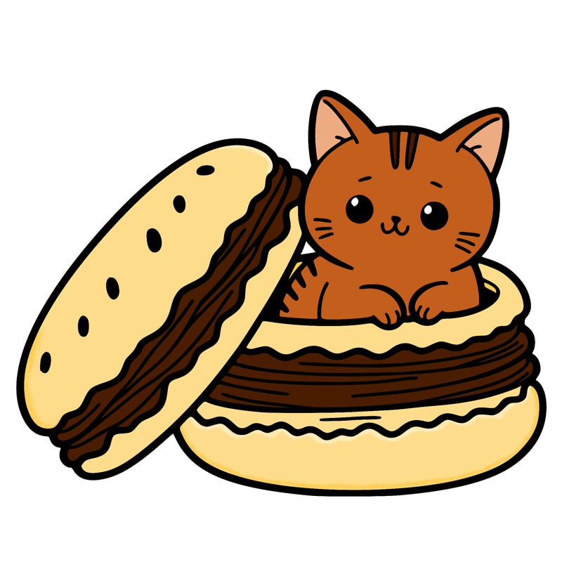 cat in a macaron