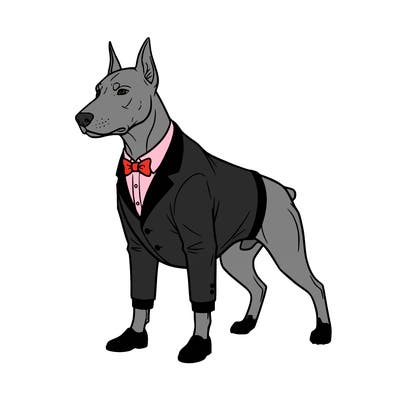 a doberman pinscher and he is really tough and looking he’s wearing a suit and bowtie and little shoes