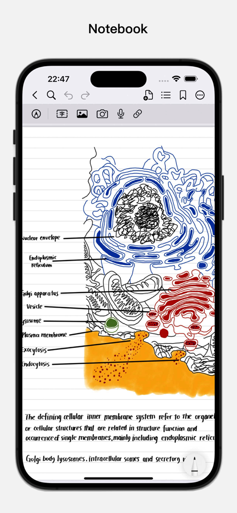 BoardNotes: Notes&PDF&Mindmap - Hand-drawn cell biology diagram with labels and handwritten notes in the BoardNotes app