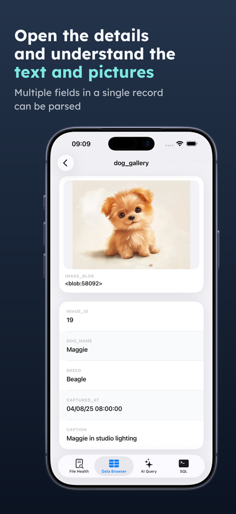 Access Viewerアプリ内で、子犬の画像と名前、犬種、タイムスタンプのテキストフィールドを表示するデータベースレコード詳細ビュー。