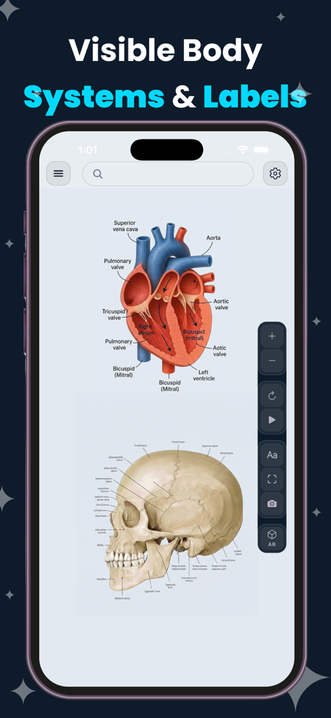 Oberfläche einer Anatomie-App, die detaillierte beschriftete Diagramme eines menschlichen Herzens und Schädels zeigt.
