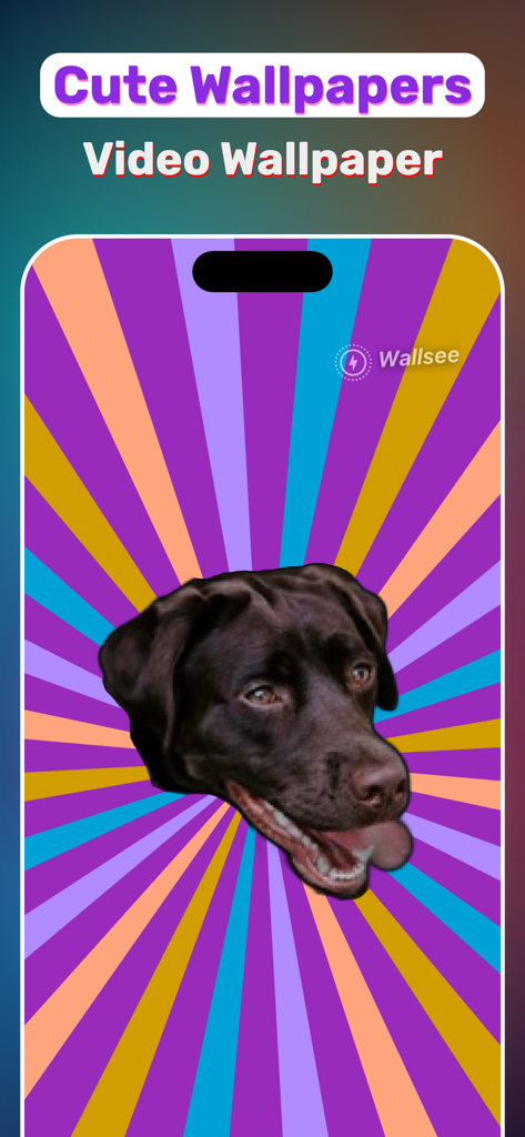 iPhone screen displaying a custom live wallpaper featuring a dog over a vibrant sunburst background in the WallSee app