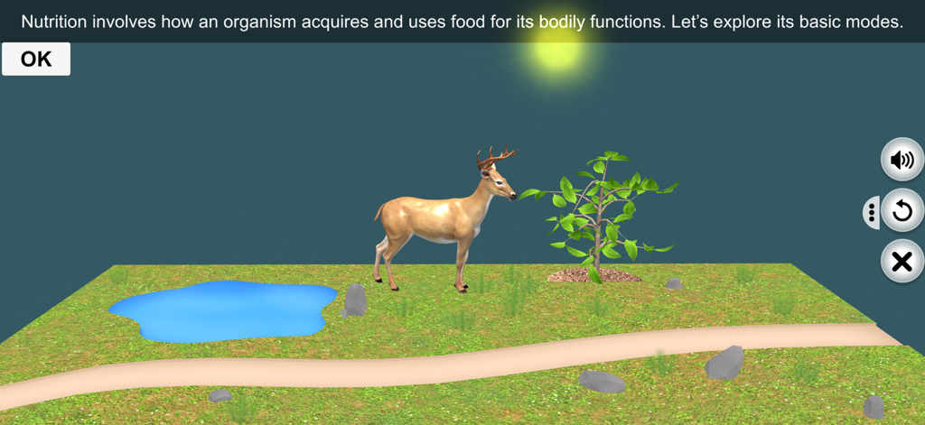 Cena 3D mostrando um veado e uma planta para explicar como os organismos adquirem alimento
