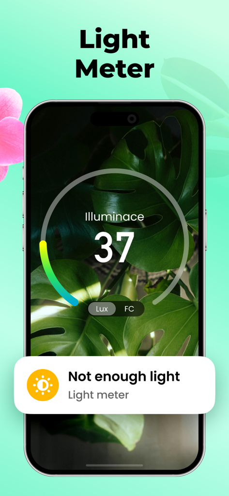 Plant Parent: Plant Care Guide - Plant Parentアプリのライトメーターツールが、モンステラの植物の太陽光レベルを測定している様子