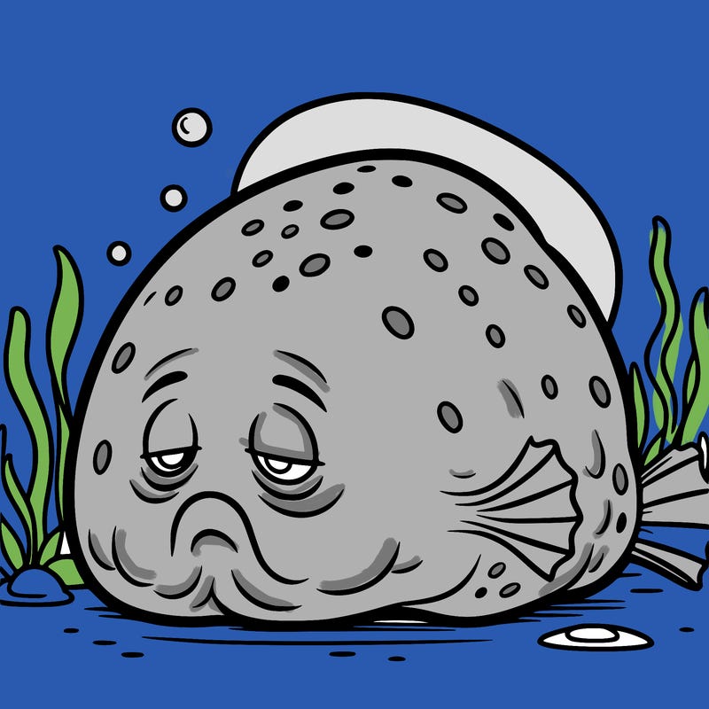 sad blobfish