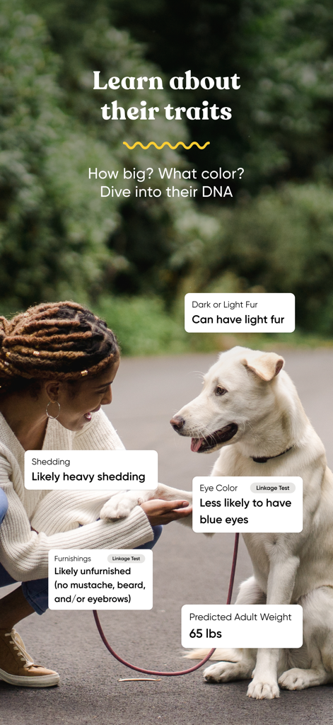 Embark Vet app screen showing genetic traits including shedding and predicted adult weight