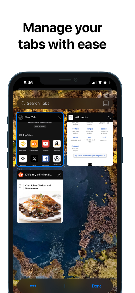 RedApp Lite: Private Browser - A screenshot of the RedApp Lite private browser showing the tab management feature with multiple open tabs and a search bar.