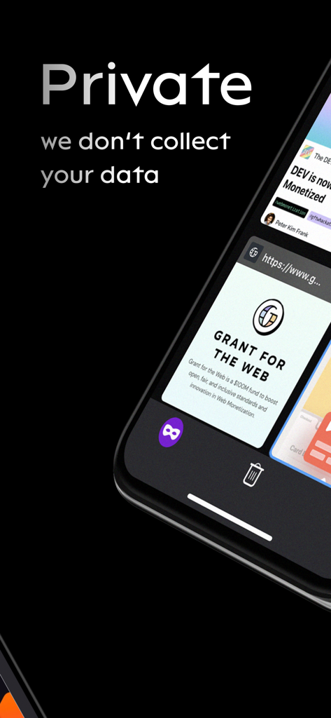Puma Browser: Ai Chat & GPT - Puma Browser app screen highlighting privacy with the message that they do not collect user data