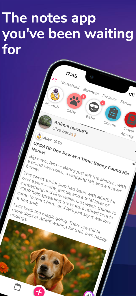 Glim: Social Space - Glim app screen showing a social notes feed with an animal rescue update and a dog photo