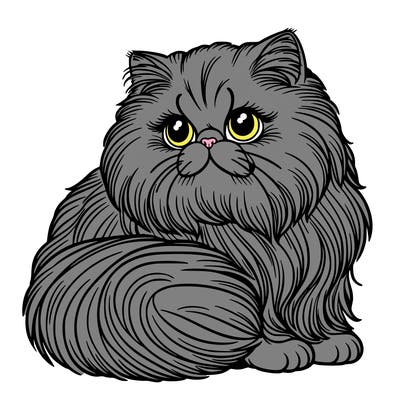 persian cat