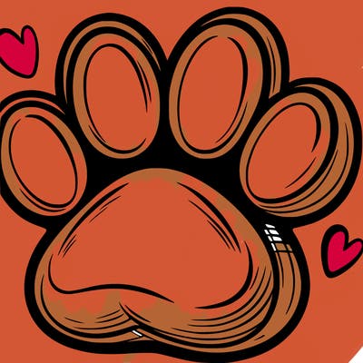 paw in the middle of human hand