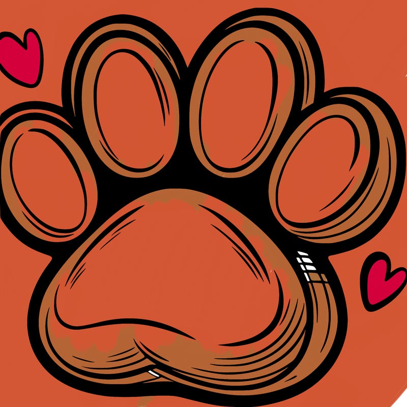 paw in the middle of human hand