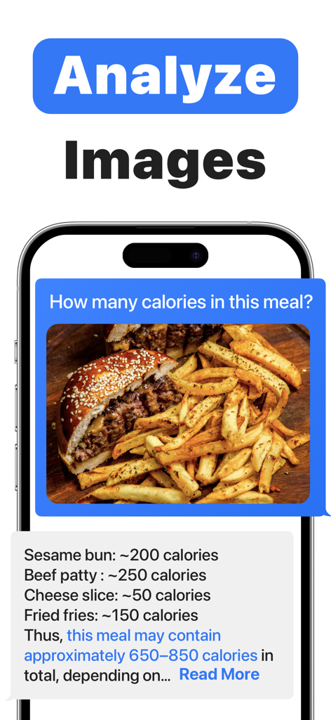 KI-Chat-App-Oberfläche analysiert ein Foto von einem Burger und Pommes, um die Gesamtkalorien zu berechnen.
