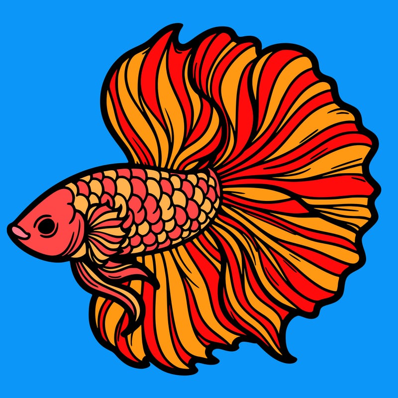 betta fish