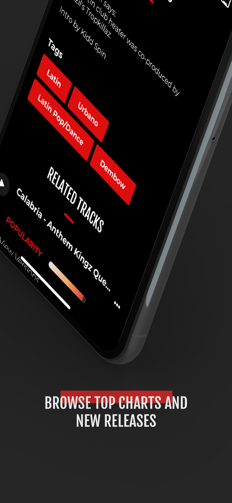 DJcity - DJcity mobile app interface for browsing top charts and new releases with genre tags