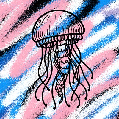 jellyfish
