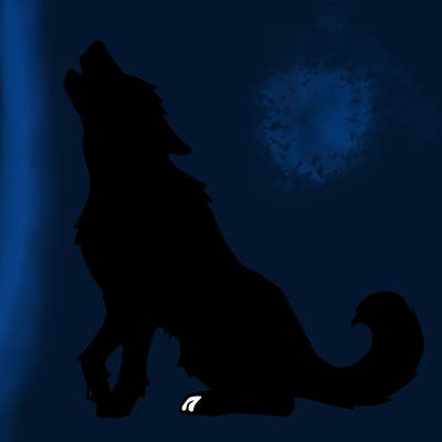 animals_36