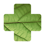 Plant Disease Identifier. - App Icon