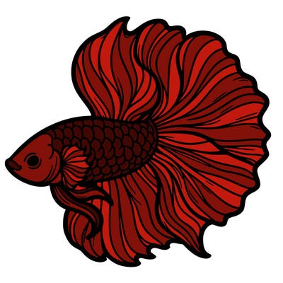 betta fish