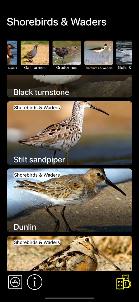 Shorebirds and Waders category screen in the Birds of North America Sounds app showing species like Stilt sandpiper and Dunlin