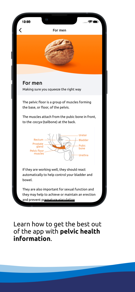 Squeezy Men - Squeezy Men App Lernbildschirm, der ein Diagramm der männlichen Beckenbodenanatomie und Informationen zeigt